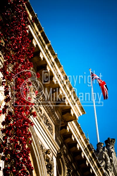 Hull 2017 Poppies