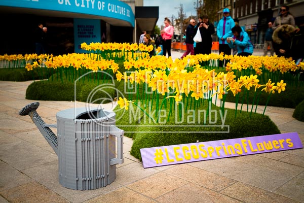 Hull 2017 Lego Daffodils